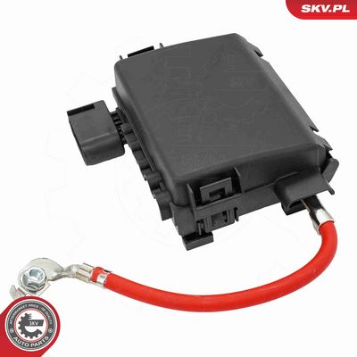 CUTIE CU SIGURANTE ESEN SKV 96SKV325 4