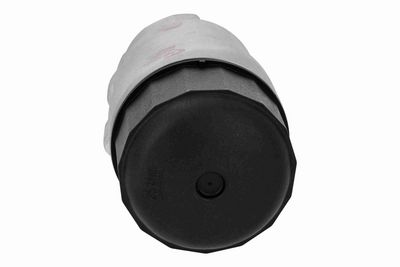 GEHäUSE ÖLFILTER VAICO V480589 6