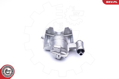 Brake Caliper 42SKV131