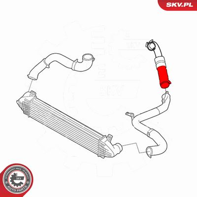 FURTUN EAR SUPRAALIMENTARE ESEN SKV 24SKV599 3