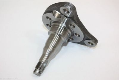 BUTUC ROATA CORP AXA