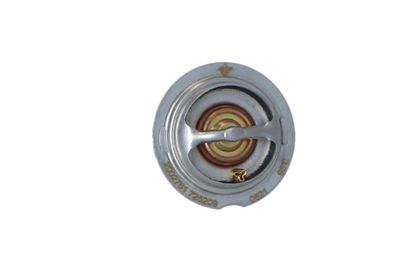 TERMOSTAT LICHID RACIRE NRF 725209 45