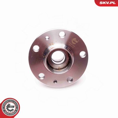 SET RULMENT ROATA ESEN SKV 29SKV160 3