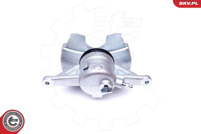 Brake Caliper 44SKV301