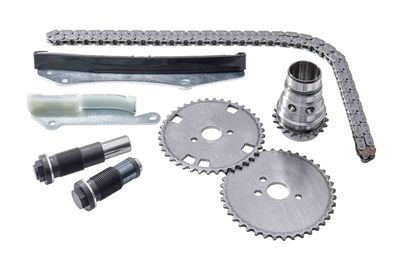 Zestaw łańcucha rozrządu BORGWARNER 59007150002