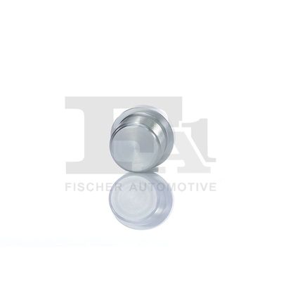 SURUB GOLIRE CARCASA TRANSMISIE FA1 257868001 11