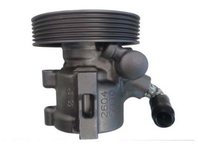 HYDRAULIKPUMPE LENKUNG SPIDAN 53961 3