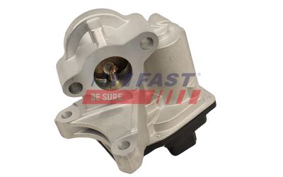 SUPAPA EGR FAST FT60244 1