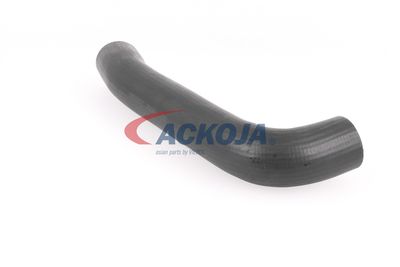 FURTUN EAR SUPRAALIMENTARE ACKOJA A379602 43