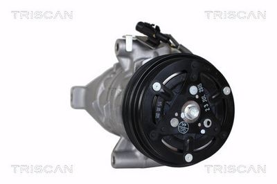 COMPRESOR CLIMATIZARE TRISCAN 902069020 7