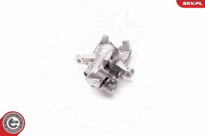 Brake Caliper 34SKV103