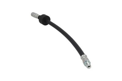 Stabdžių žarnelė