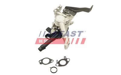 SUPAPA EGR FAST FT60246
