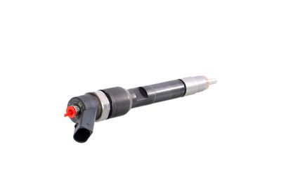 INJECTOR REMANTE 002003000150R 33