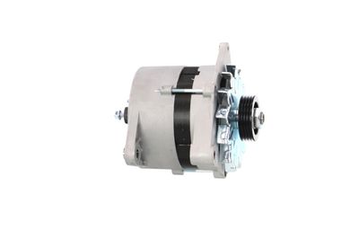 GENERATOR / ALTERNATOR REMANTE 011003000065R 49