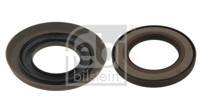 Gasket Set, differential 29784