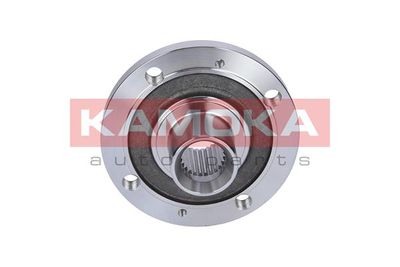 Wheel Hub 5500114