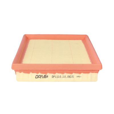 LUFTFILTER DR!VE+ DP1110100615