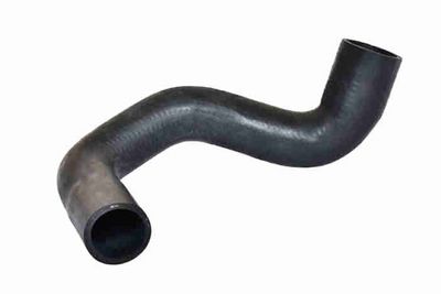 FURTUN EAR SUPRAALIMENTARE