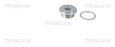 SURUB DE GOLIRE BAIA DE ULEI TRISCAN 95002904 1