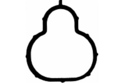 DICHTUNG ANSAUGKRüMMER