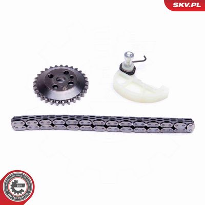SET LANT ANTRENARE POMPA ULEI ESEN SKV 21SKV109 1