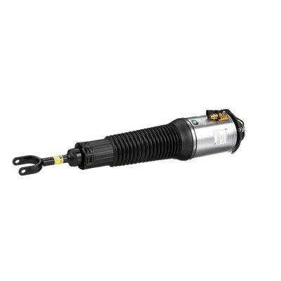 LUFTFEDERBEIN Arnott AS2560 26