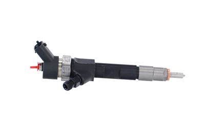 INJECTOR REMANTE 002003000022R 41