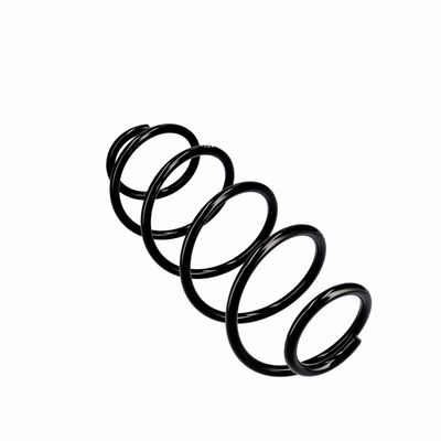 ARC SPIRAL EIBACH R10293 11