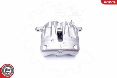 Brake Caliper 44SKV622