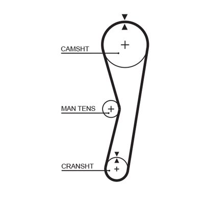 Timing Belt GATES 5024