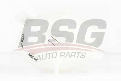 BSG BSG 90-550-006 Крышка расширительного бачка  для AUDI Q3 (Ауди Q3)