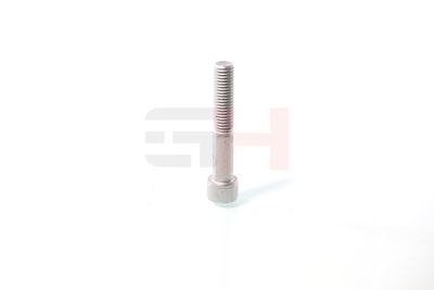 SURUB CAPAT DE AX GH GH391070 41