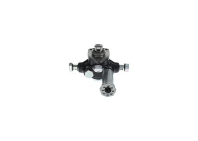 BOSCH Kraftstoffpumpe