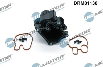 RADIATOR RECIRCULARE GAZE DE ESAPAMENT Dr.Motor Automotive DRM01130 1