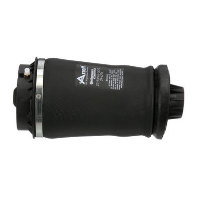 ARC PNEUMATIC DIRECTIE Arnott A2596 41