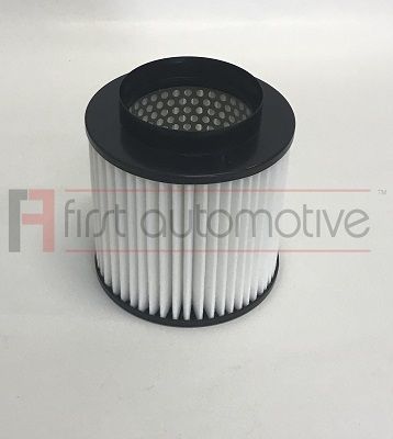 Воздушный фильтр 1A FIRST AUTOMOTIVE A63684 для AUDI A8