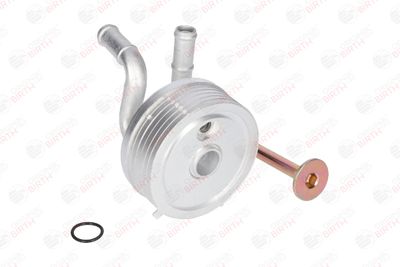 RADIATOR ULEI ULEI MOTOR BIRTH 80138 6