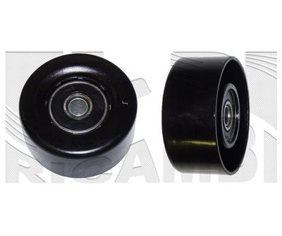 AUTOTEAM A09840 Ролик ремня генератора  для NISSAN JUKE (F15) 1.6 LPG