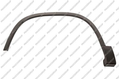 ELEMENTE DECORATIVE/PROTECTIE ARIPA