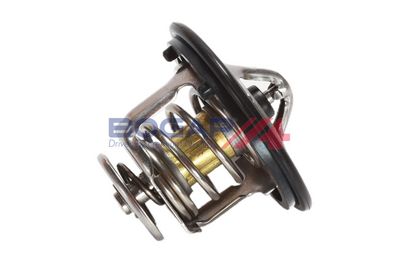 TERMOSTAT LICHID RACIRE