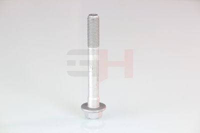SURUB CAPAT DE AX GH GH391580 10