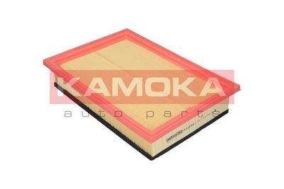 Air Filter F205501