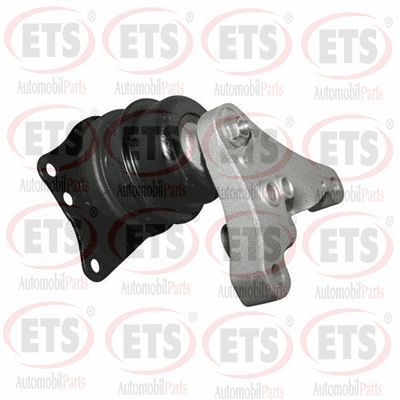 окачване, двигател ETS 31.EM.859
