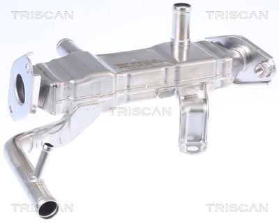 RADIATOR RECIRCULARE GAZE DE ESAPAMENT TRISCAN 881313103