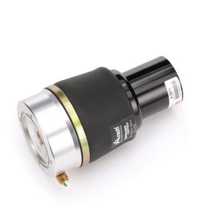 LUFTFEDER FAHRWERK Arnott A2571 77