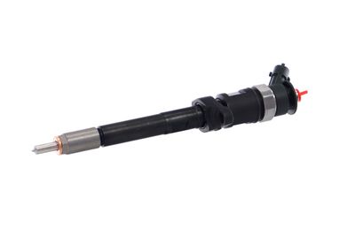 INJECTOR REMANTE 002003001727R 8