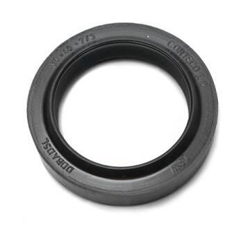 Dichtring