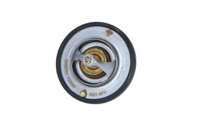 TERMOSTAT LICHID RACIRE NRF 725087 9