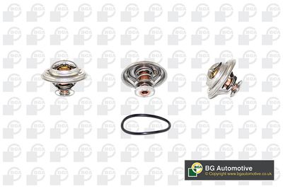 TERMOSTAT LICHID RACIRE